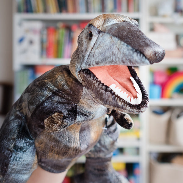 Puppets for 4 & 5 Year Olds