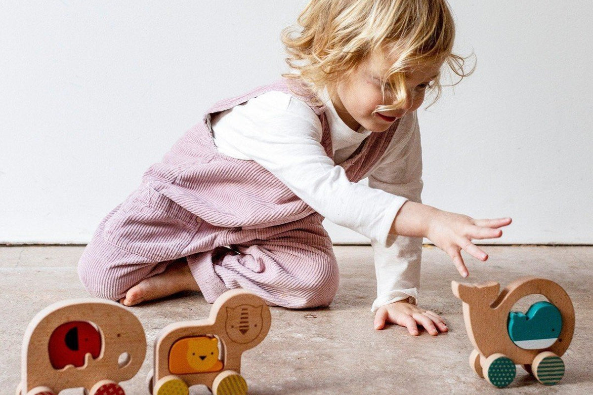 Toys on Wheels for 1 Year Olds
