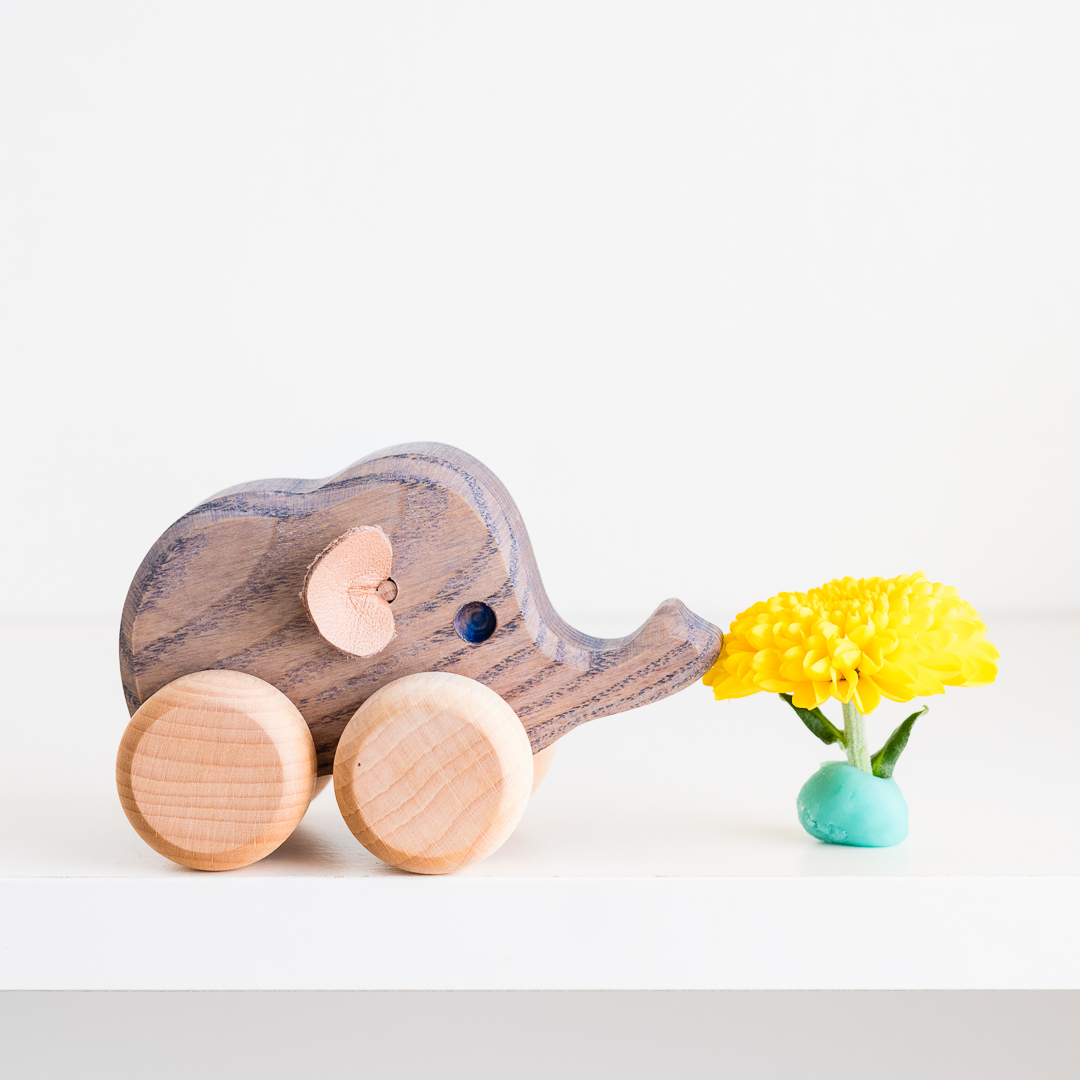Wooden Frog Wooden Toys