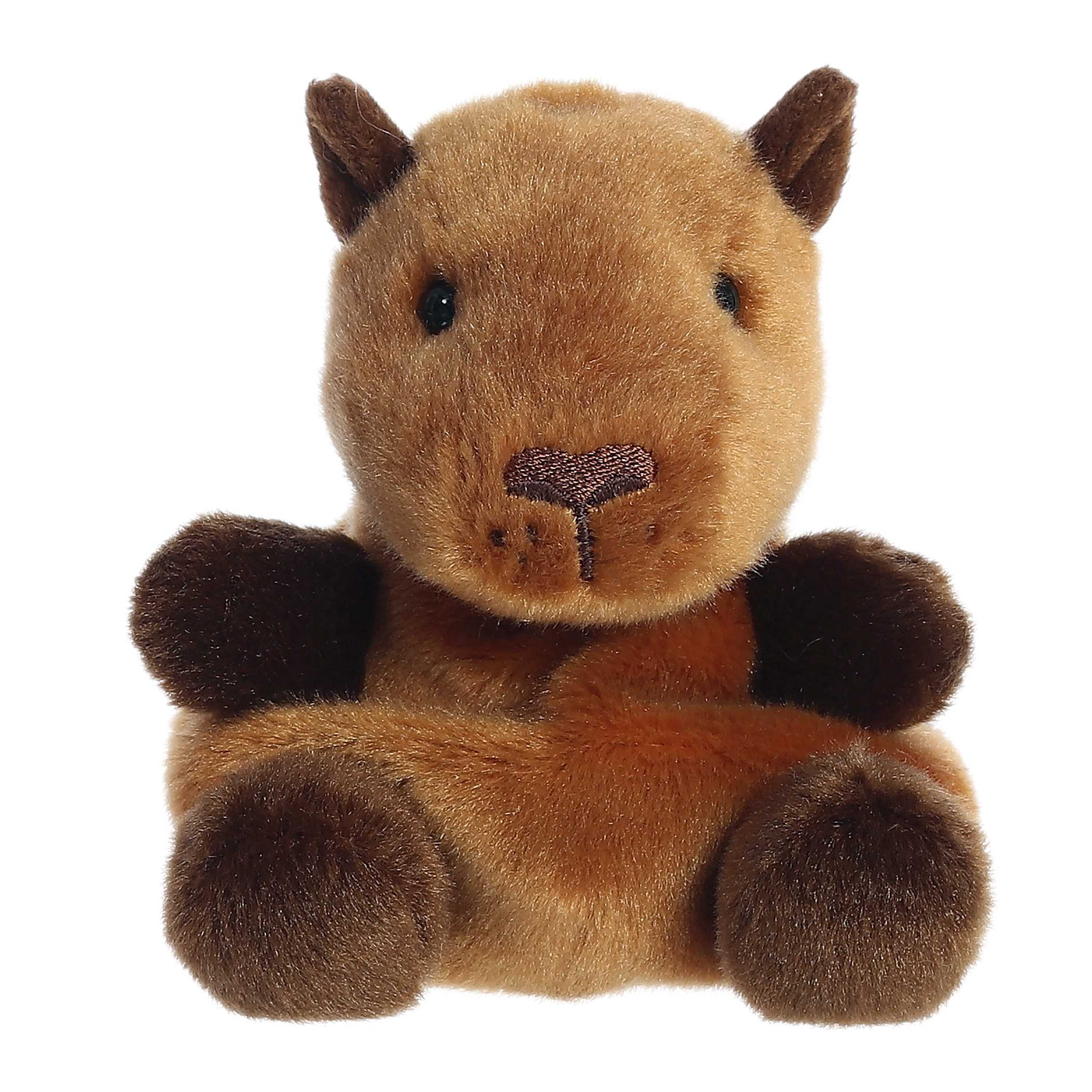 Aurora palm pals sid capybara – Dilly Dally Kids