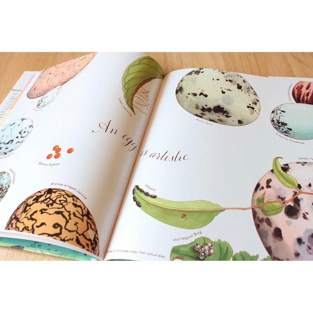 An Egg is Quiet-books-Raincoast-Dilly Dally Kids