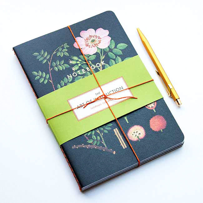 art of instruction notebook collection-arts & crafts-Raincoast-Dilly Dally Kids