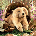 retriever puppy puppet-puppets, stuffies & dolls-Fire the Imagination-Dilly Dally Kids