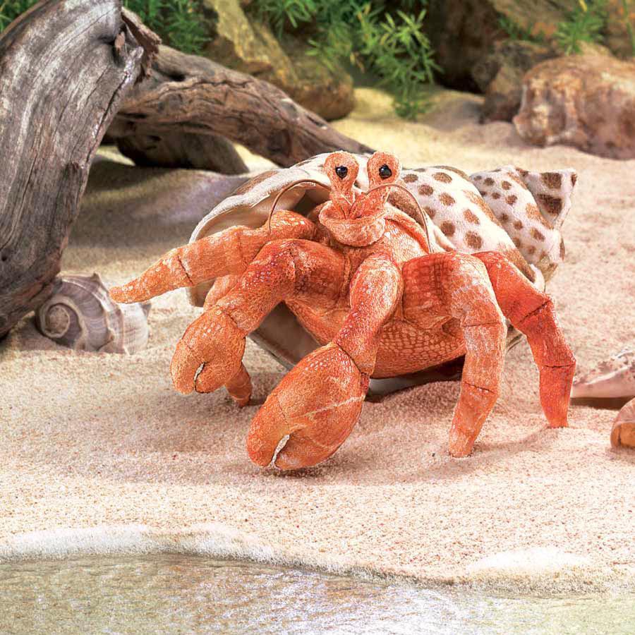 hermit crab puppet-puppets, stuffies & dolls-Fire the Imagination-Dilly Dally Kids