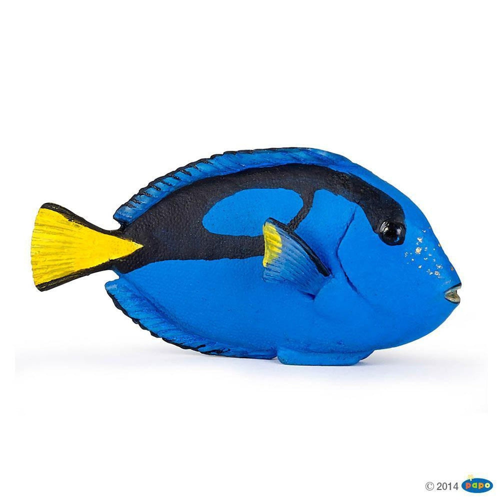 papo surgeon fish figure-people, animals & lands-Le Toy Van-Dilly Dally Kids