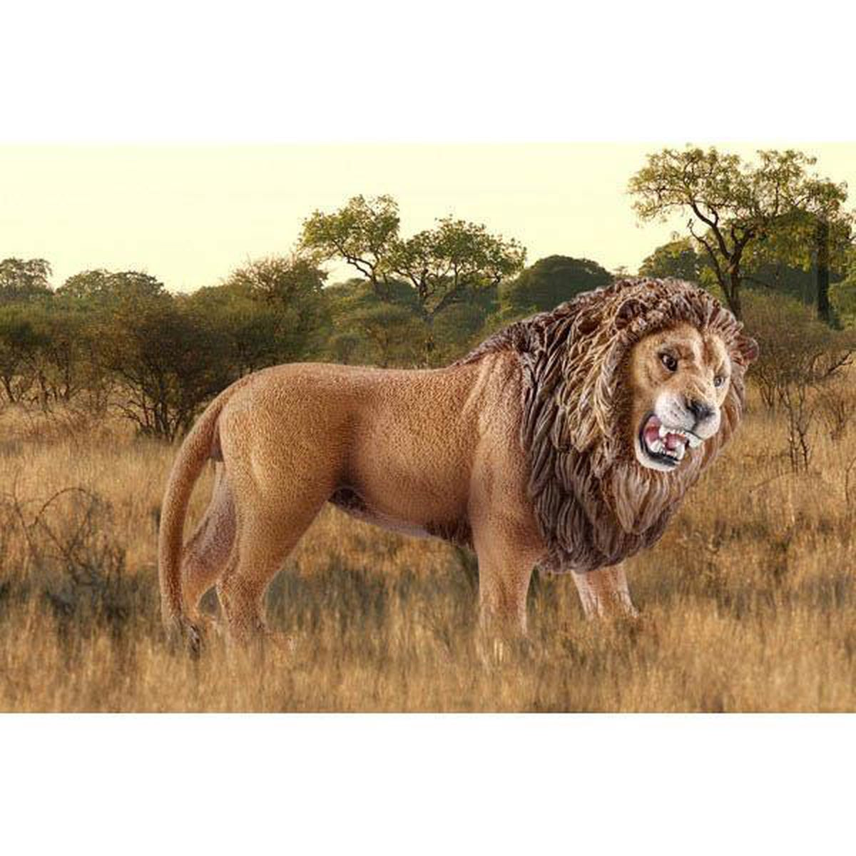 Schleich lion roaring-people, animals & lands-Schleich-Dilly Dally Kids