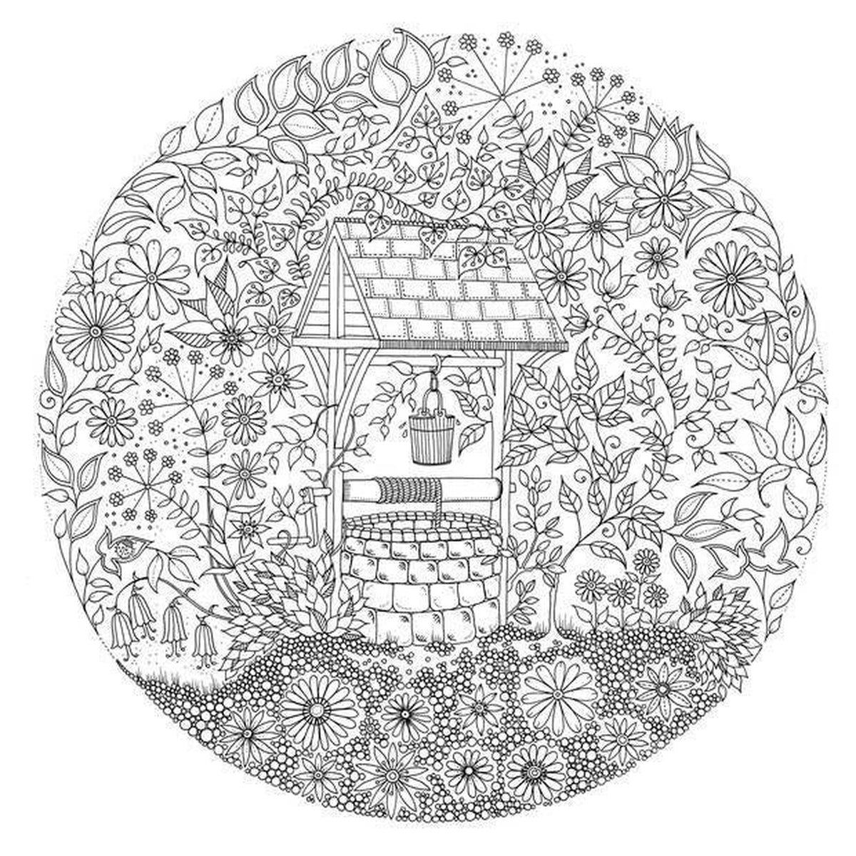 secret garden colouring book-arts & crafts-Raincoast-Dilly Dally Kids
