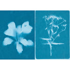 solar print paper-arts & crafts-Great West Wholesale-Dilly Dally Kids