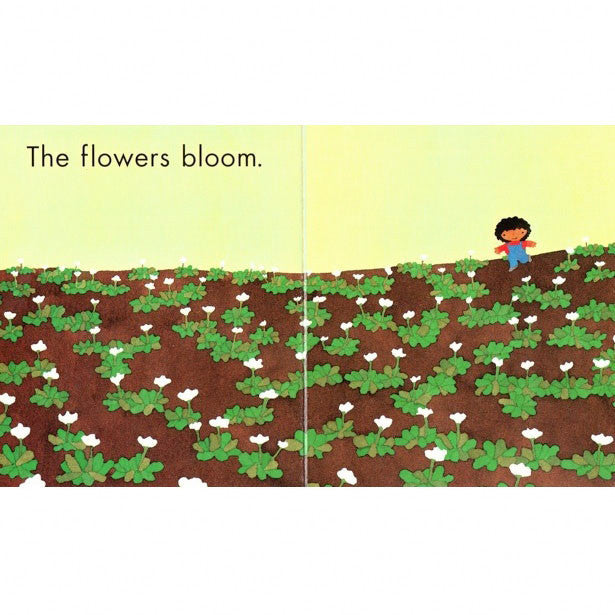 Spring is Here board book-books-Raincoast-Dilly Dally Kids