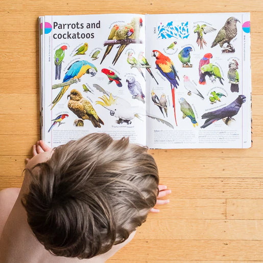 Essential Skills: Critical Thinking