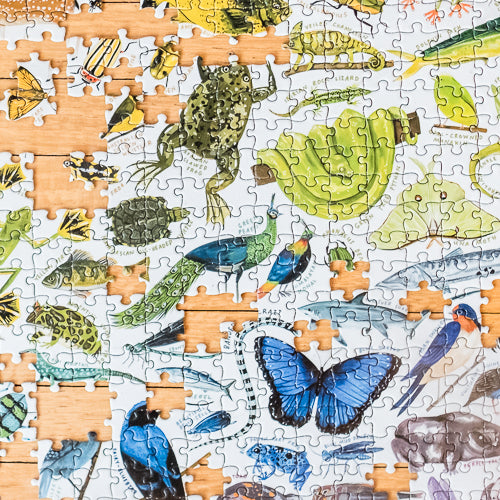 Puzzles for 8 & 9 Year Olds