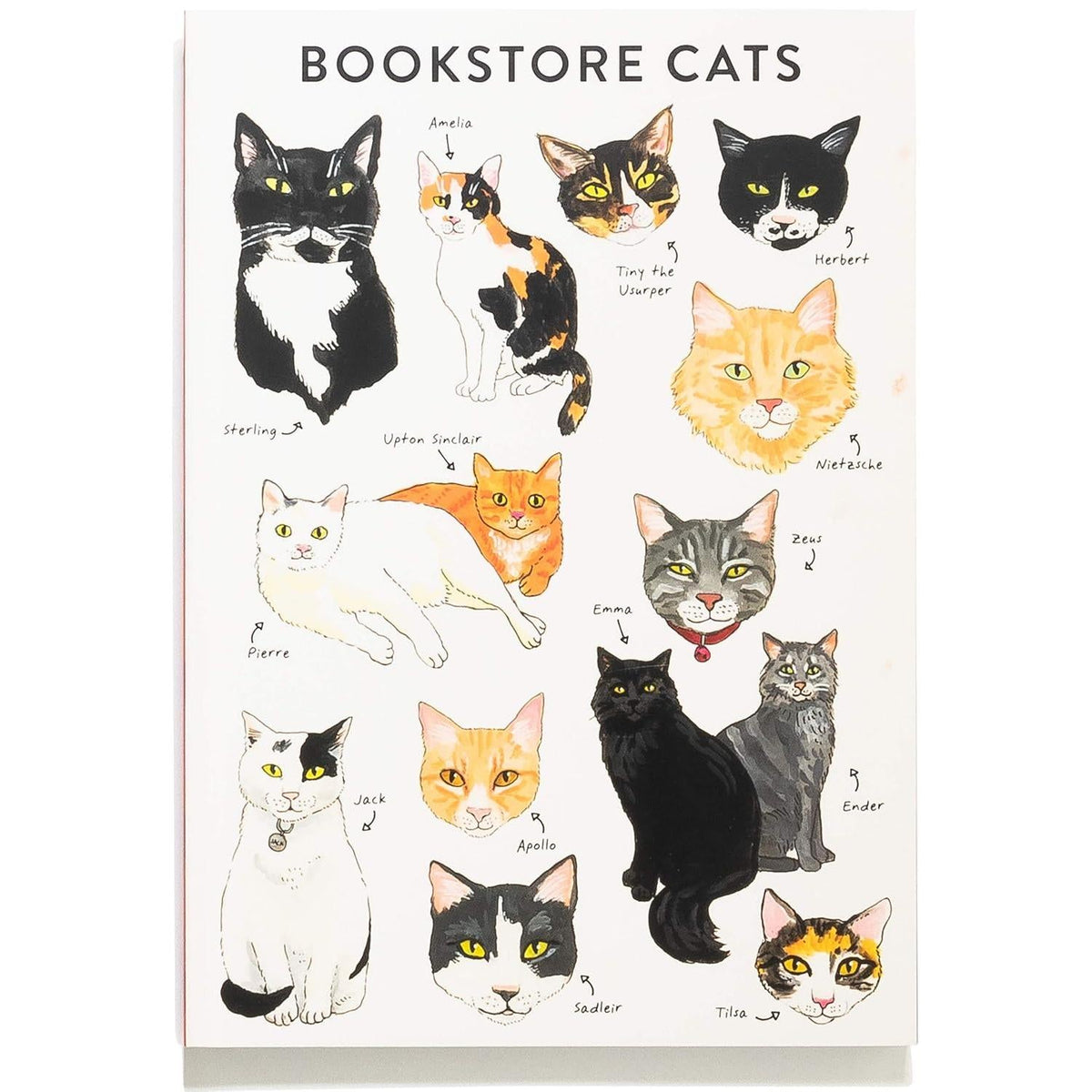 Kidult Stationary & Art Supplies