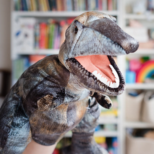 Puppets for 8 & 9 Year Olds