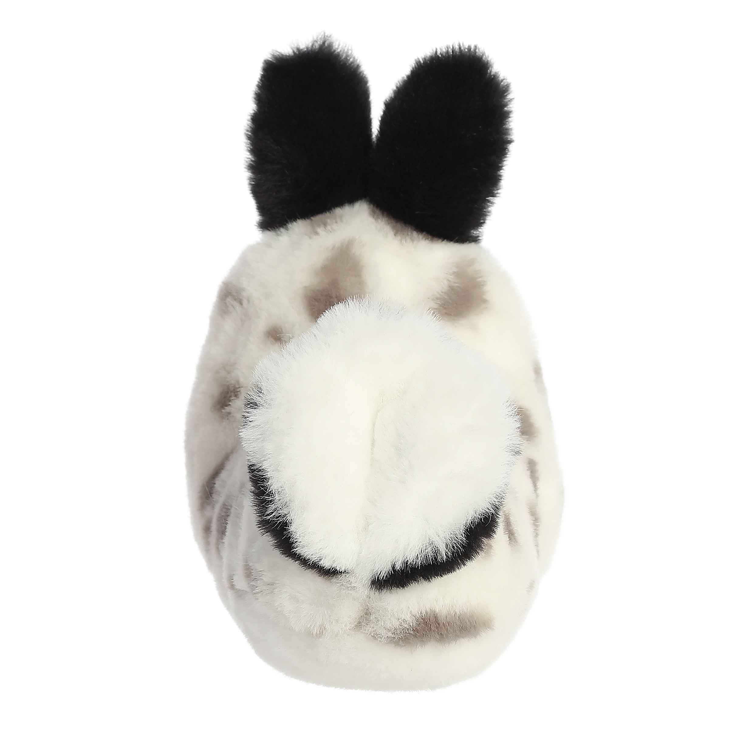 Aurora mini flopsie serene sea bunny – Dilly Dally Kids