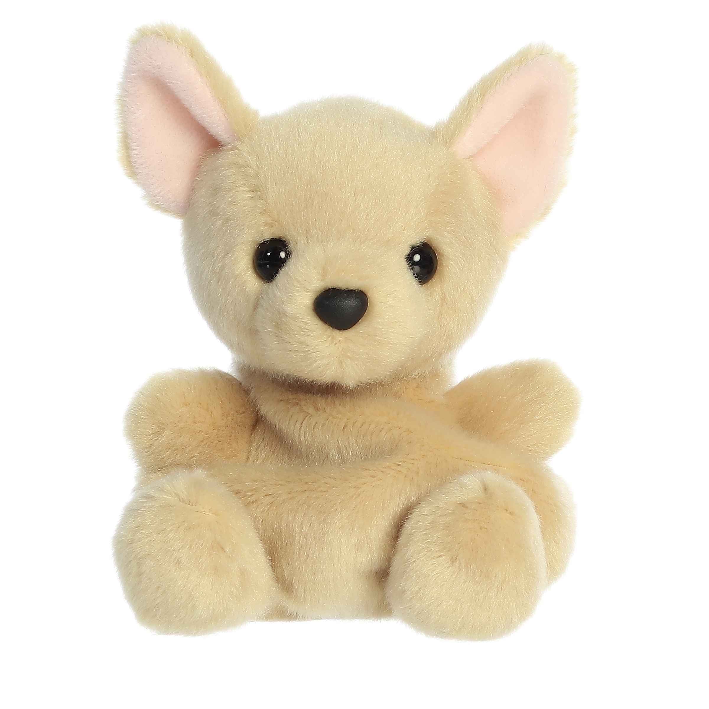 Aurora palm pals cookie chihuahua – Dilly Dally Kids