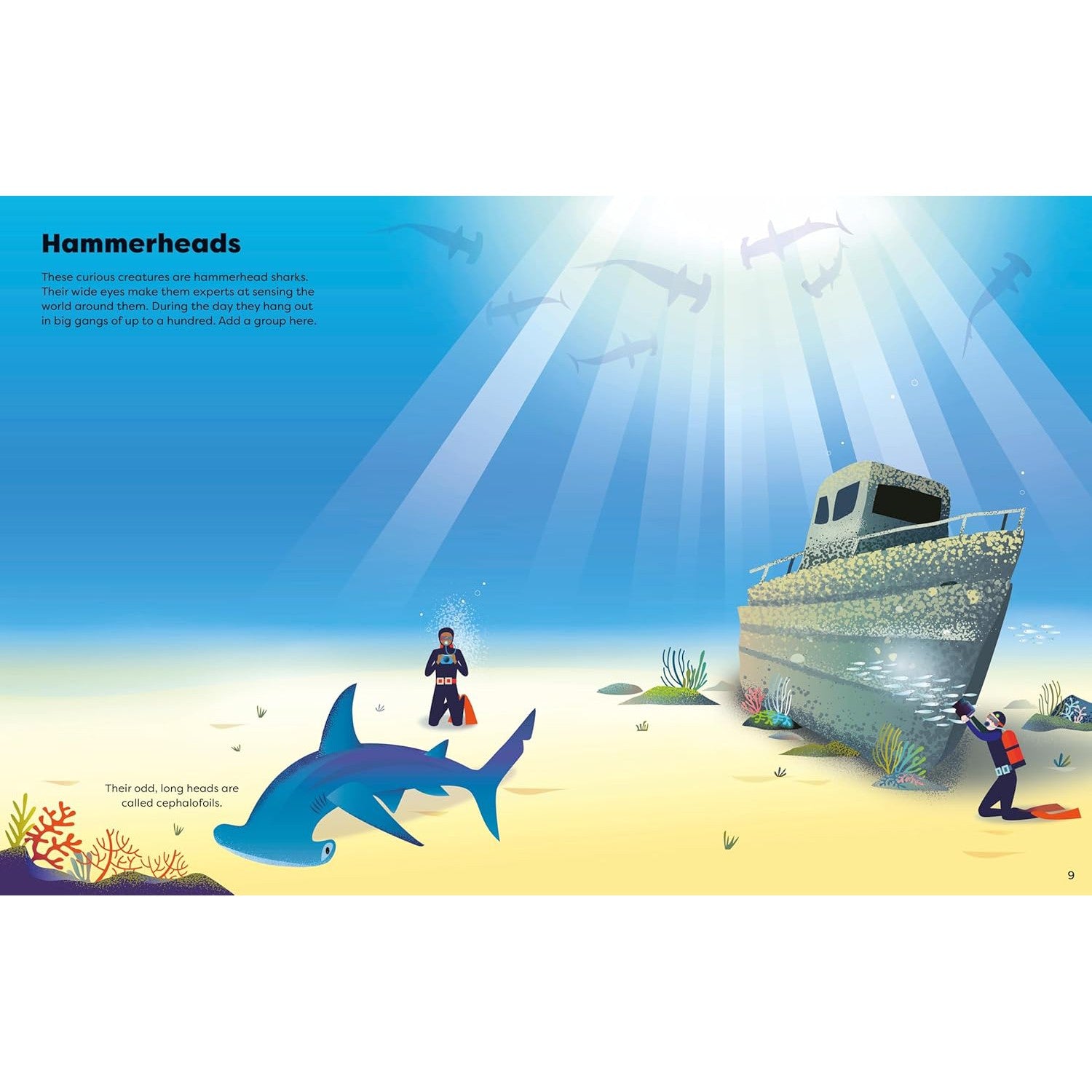 Usborne big sticker book of sharks – Dilly Dally Kids