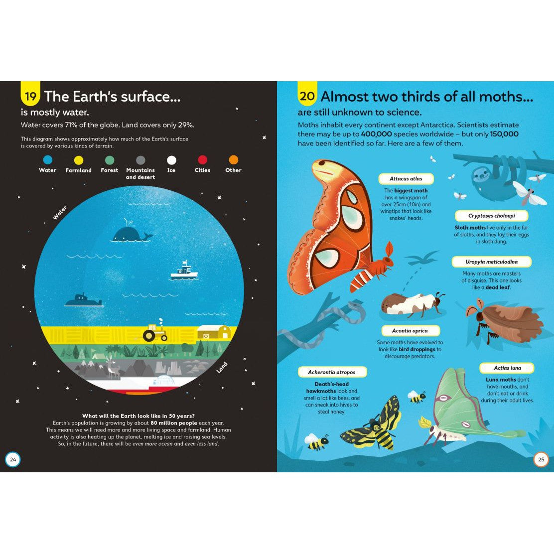 Usborne 100 things to know about science – Dilly Dally Kids