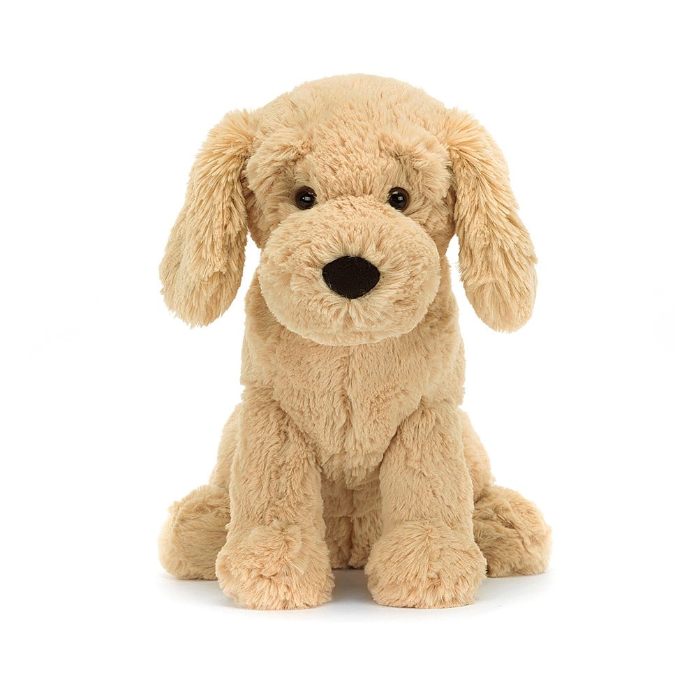 Golden retriever hot sale puppy supplies