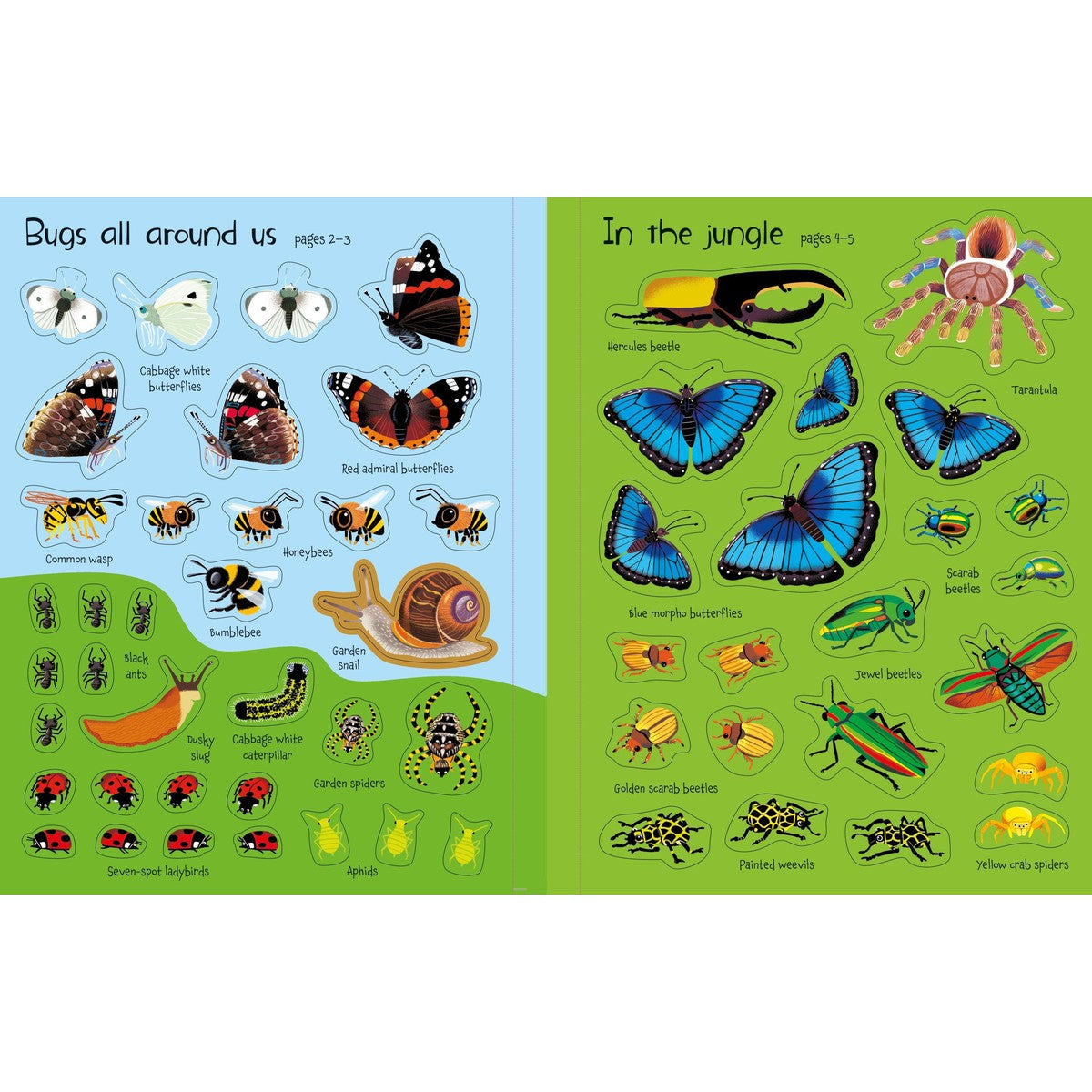 Bug Sticker Book Usborne first sticker book bugs – Dilly Dally Kids
