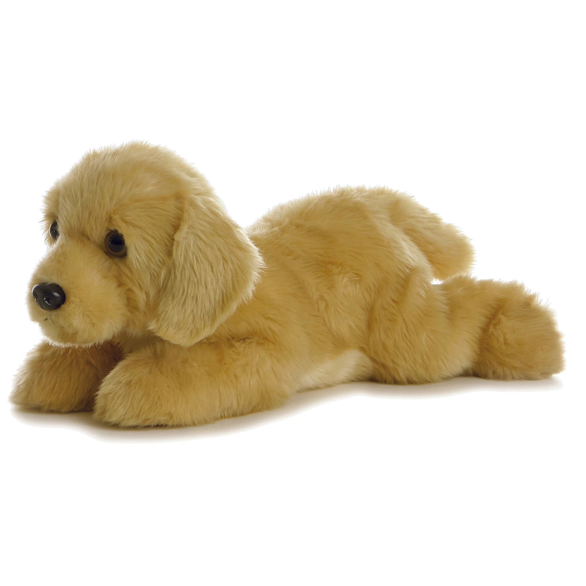 Golden retriever top toy dog