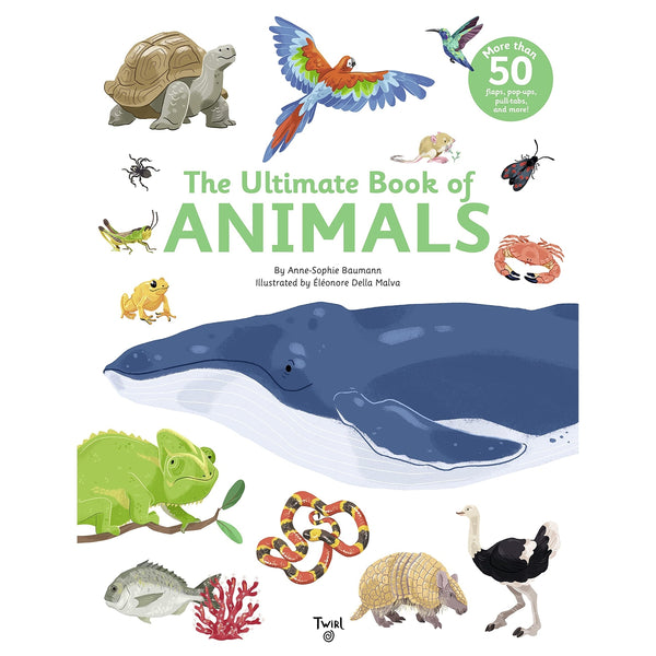 The Ultimate Book of Animals – Dilly Dally Kids