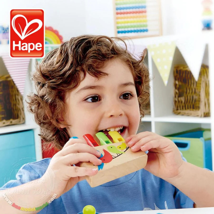 Hape Rainbow Pan Pipe – Dilly Dally Kids