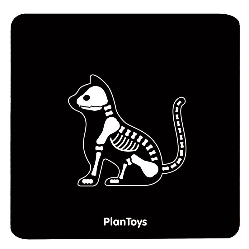 PlanToys Set Vétérinaire