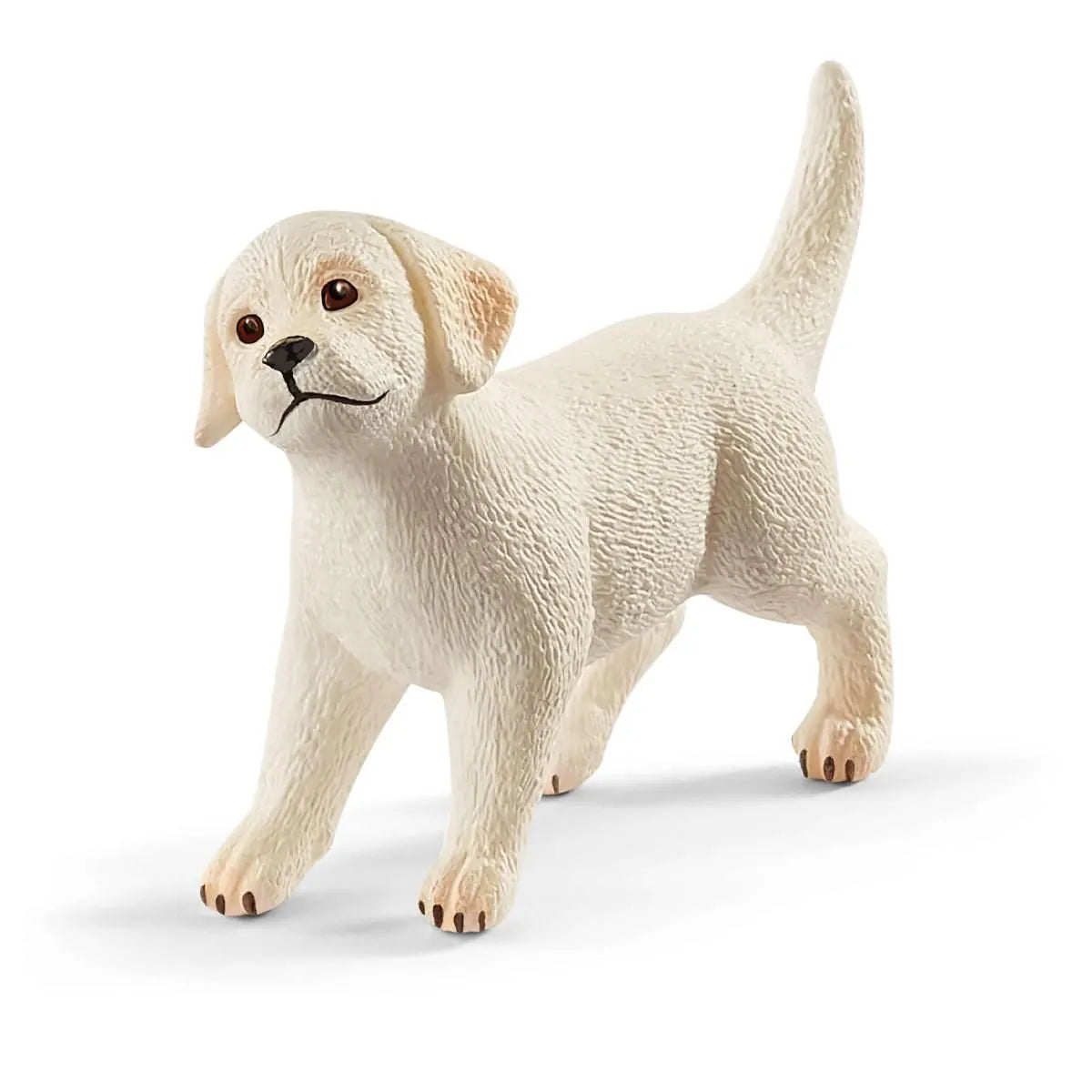 Labrador pen sales