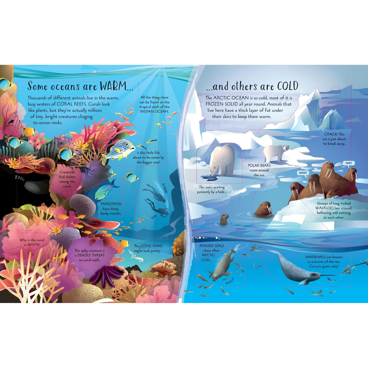 英語知育絵本　Usborne Look Inside See Inside usborne-see-inside-how-things-