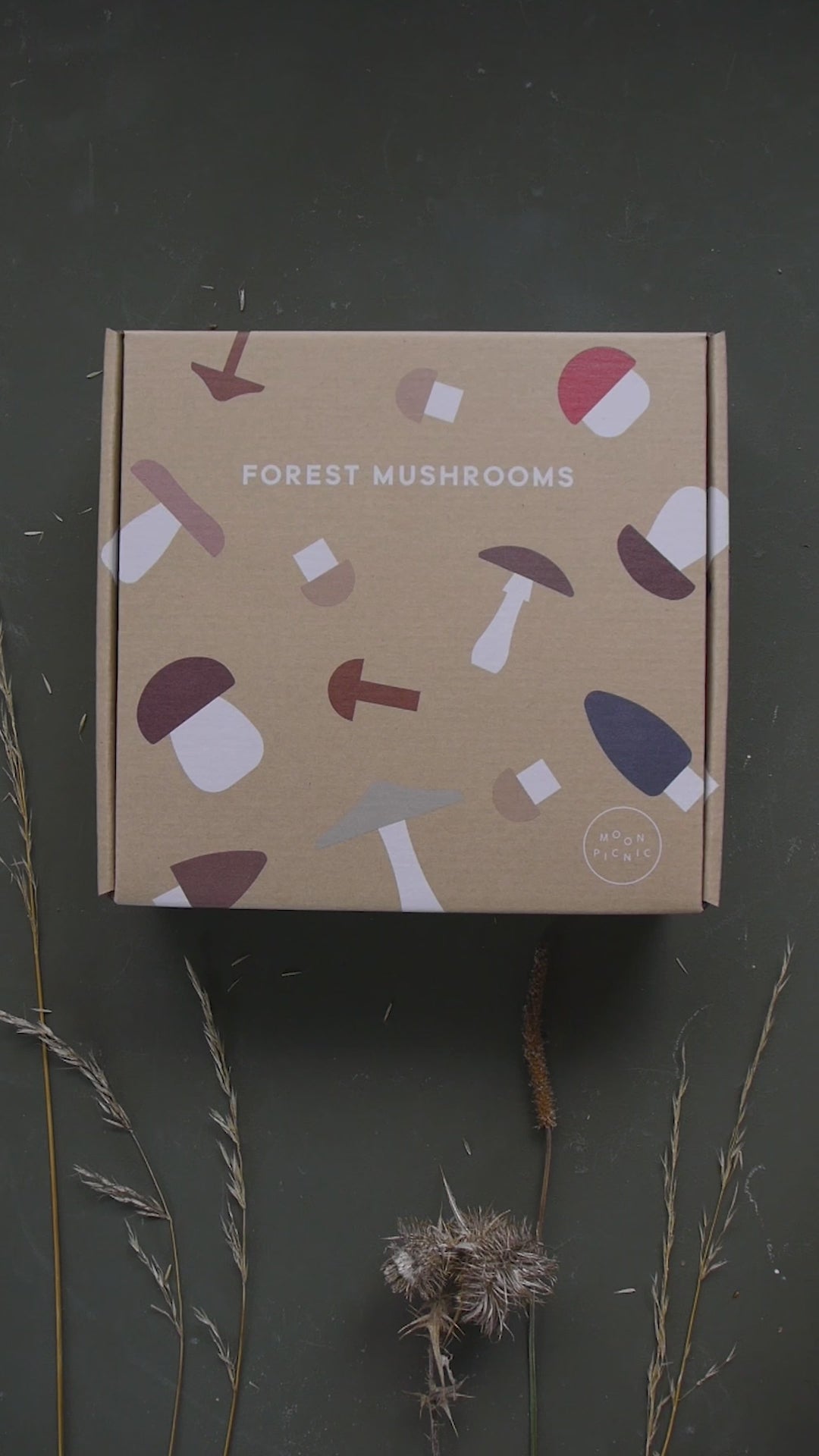 Moon Picnic - Forest Mushrooms in A Box