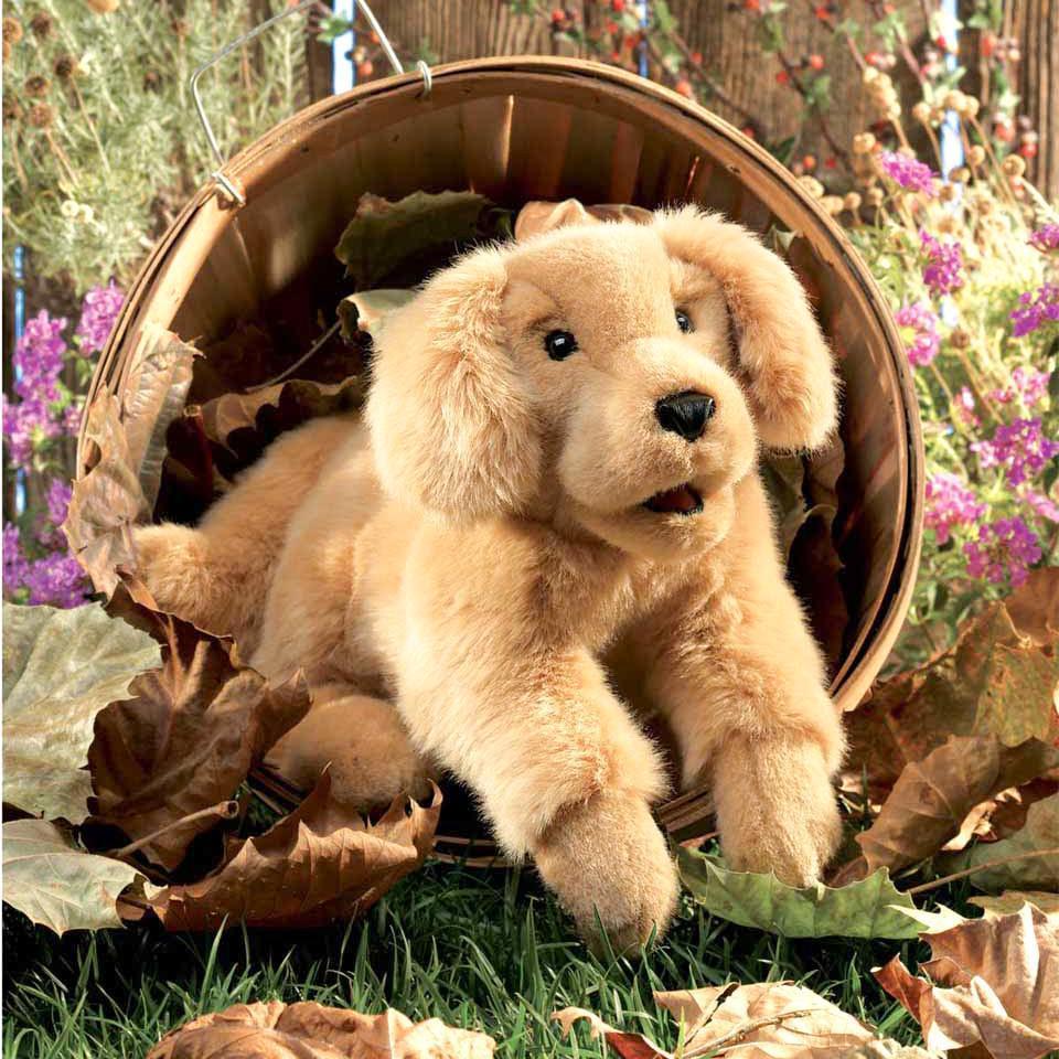 Folkmanis golden retriever puppy puppet – Dilly Dally Kids