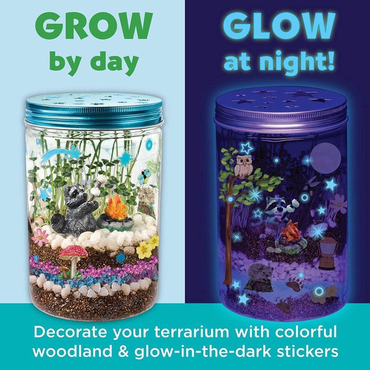 grow n' glow terrarium