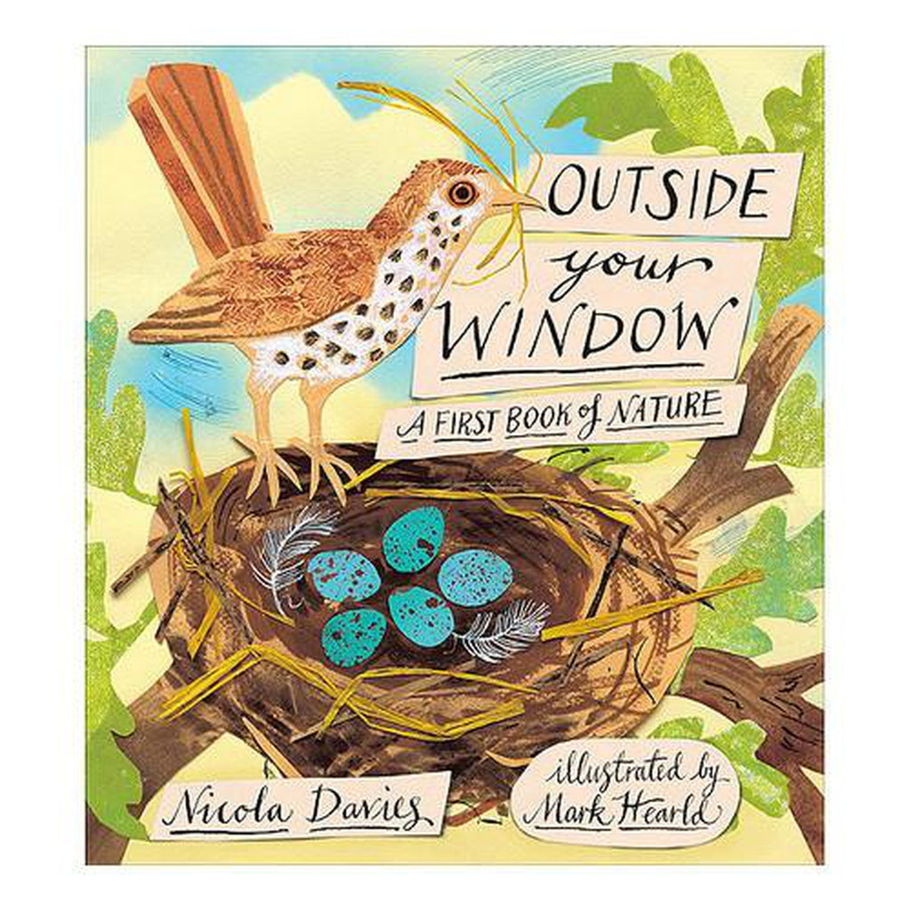 Outside Your Window-books-Penguin Random House-Dilly Dally Kids