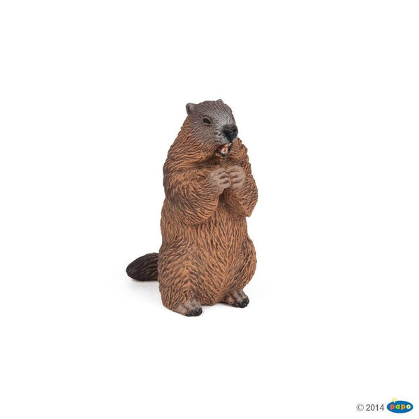 papo marmot – Dilly Dally Kids