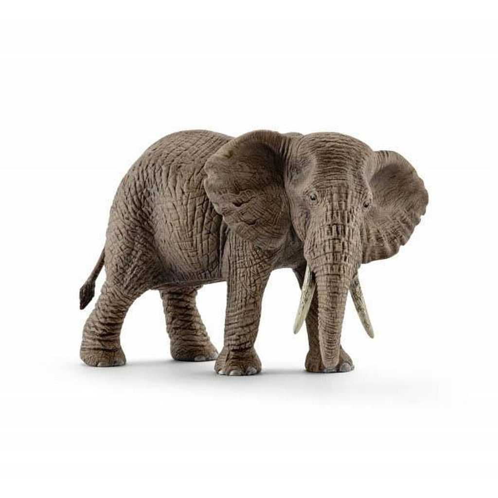 Schleich African elephant female-people, animals & lands-Schleich-Dilly Dally Kids