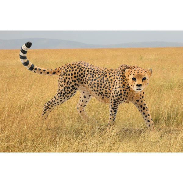 Schleich cheetah – Dilly Dally Kids