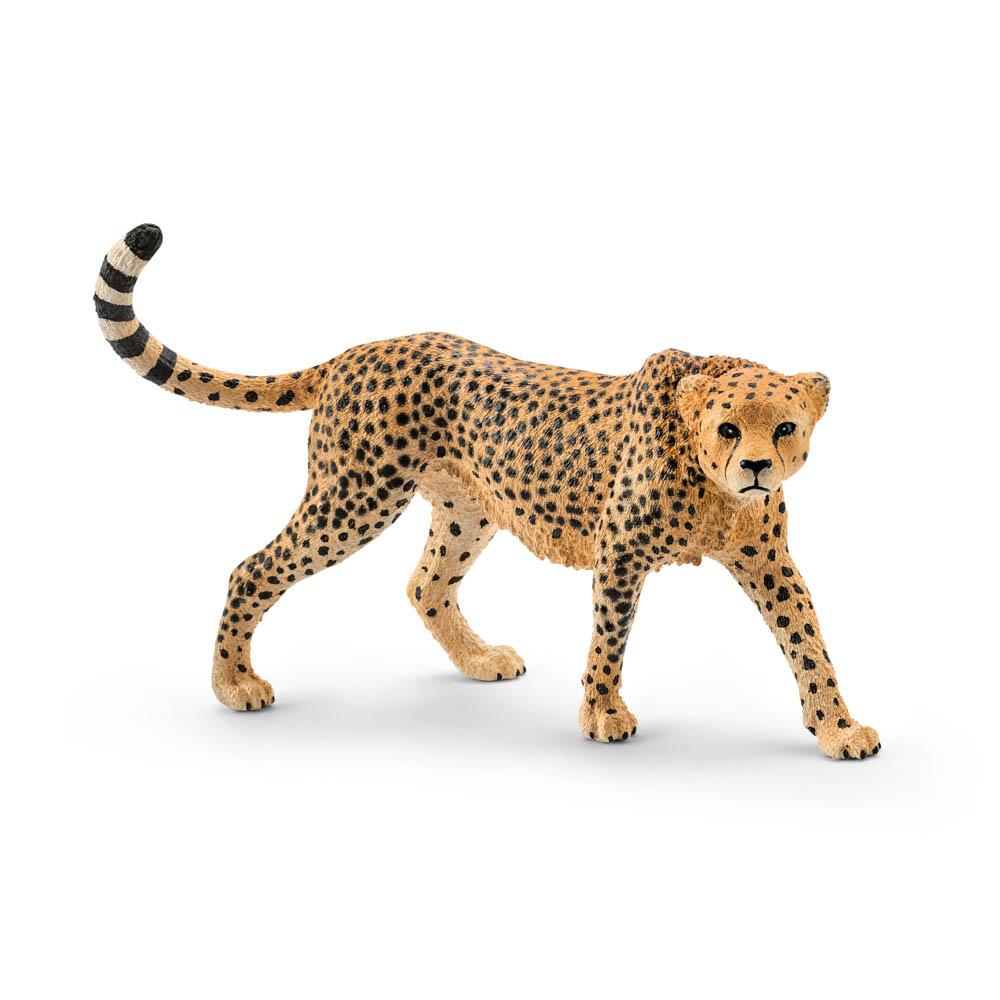 Schleich cheetah-people, animals & lands-Schleich-Dilly Dally Kids