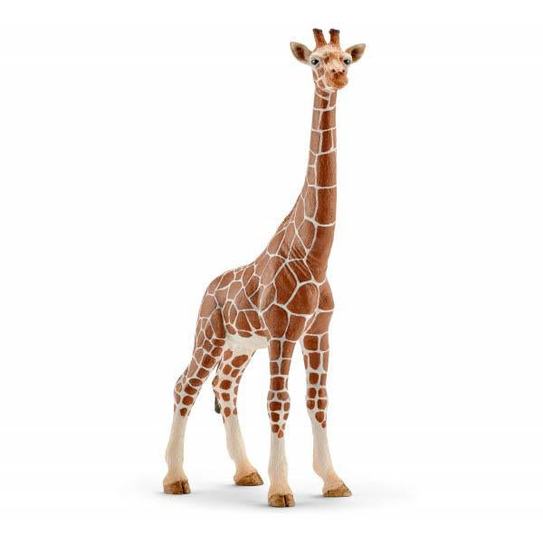 Schleich giraffe female-people, animals & lands-Schleich-Dilly Dally Kids