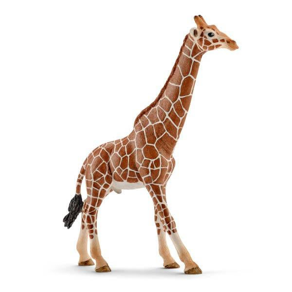 Schleich giraffe male-people, animals & lands-Schleich-Dilly Dally Kids