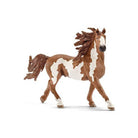 Schleich pinto stallion-people, animals & lands-Schleich-Dilly Dally Kids
