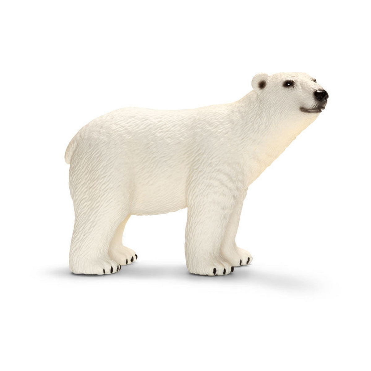 Schleich polar bear-people, animals & lands-Schleich-Dilly Dally Kids