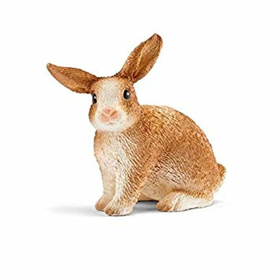 https://dillydallykids.ca/cdn/shop/products/schleich-rabbit-people-animals-lands-schleich.jpg?v=1613698873&width=960