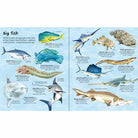 Usborne Big Book of Big Sea Creatures-science & nature-Harper Collins-Dilly Dally Kids