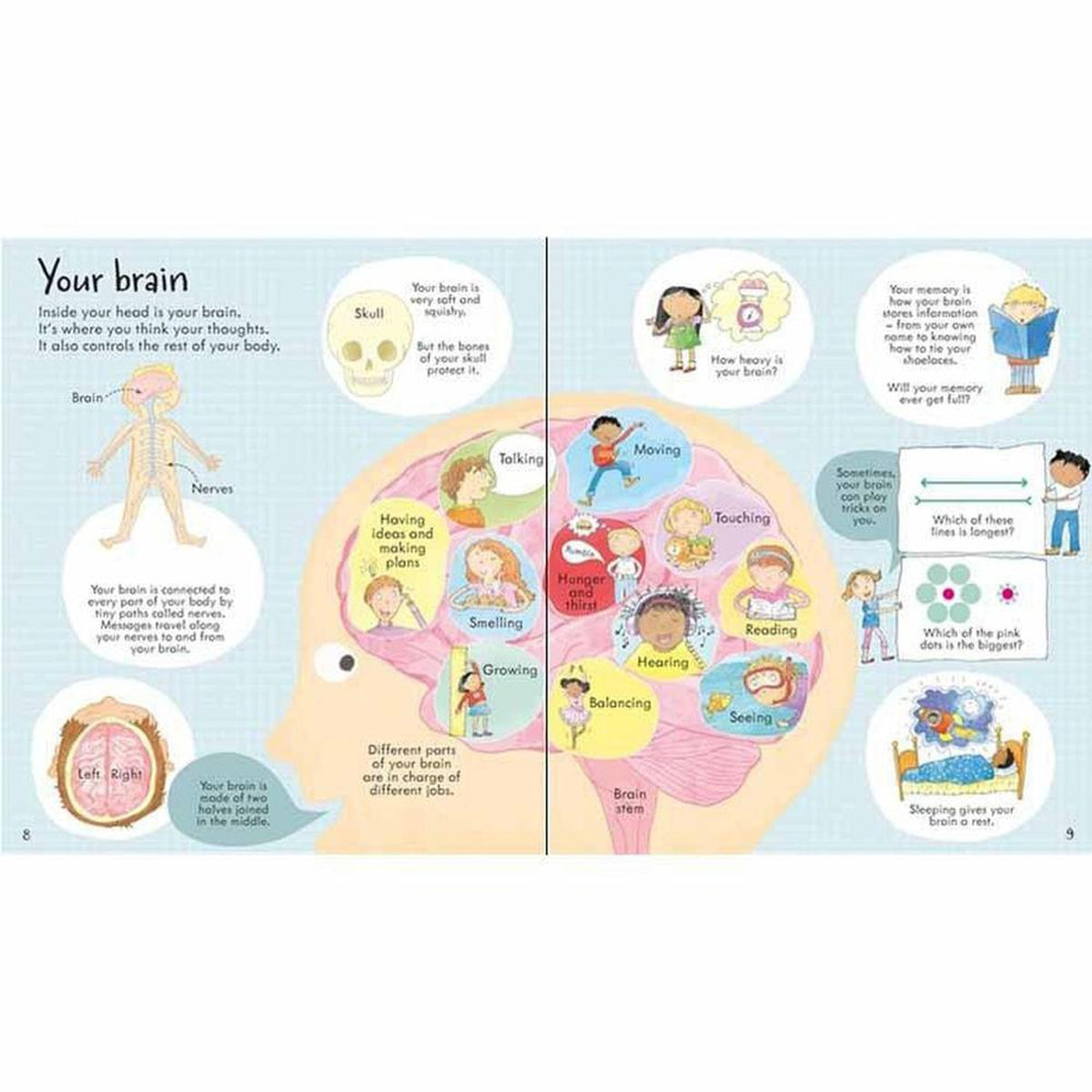 Usborne Look Inside Your Body-books-Harper Collins-Dilly Dally Kids